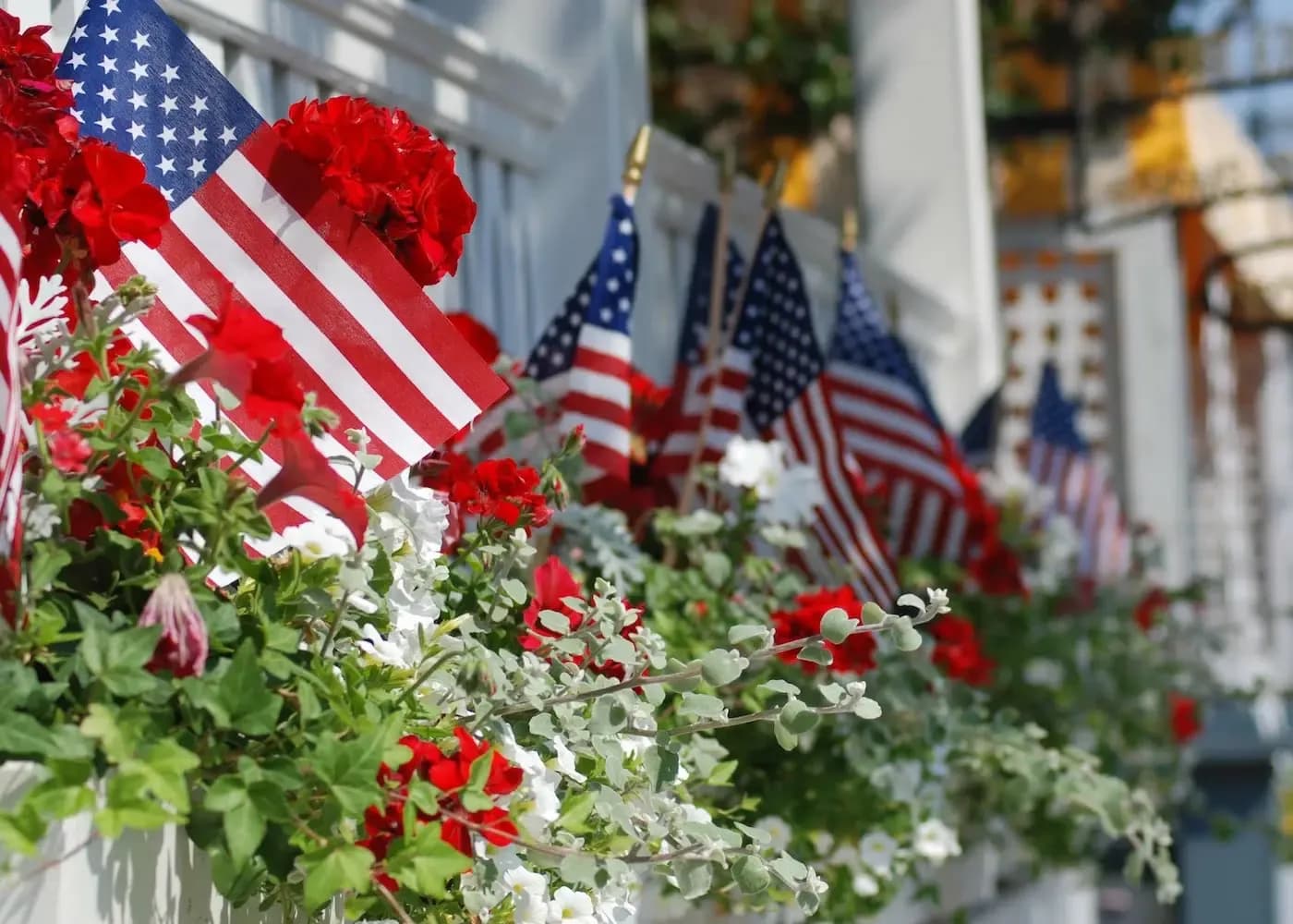 American flags displayed with red and white flowers in a patriotic garden arrangement
