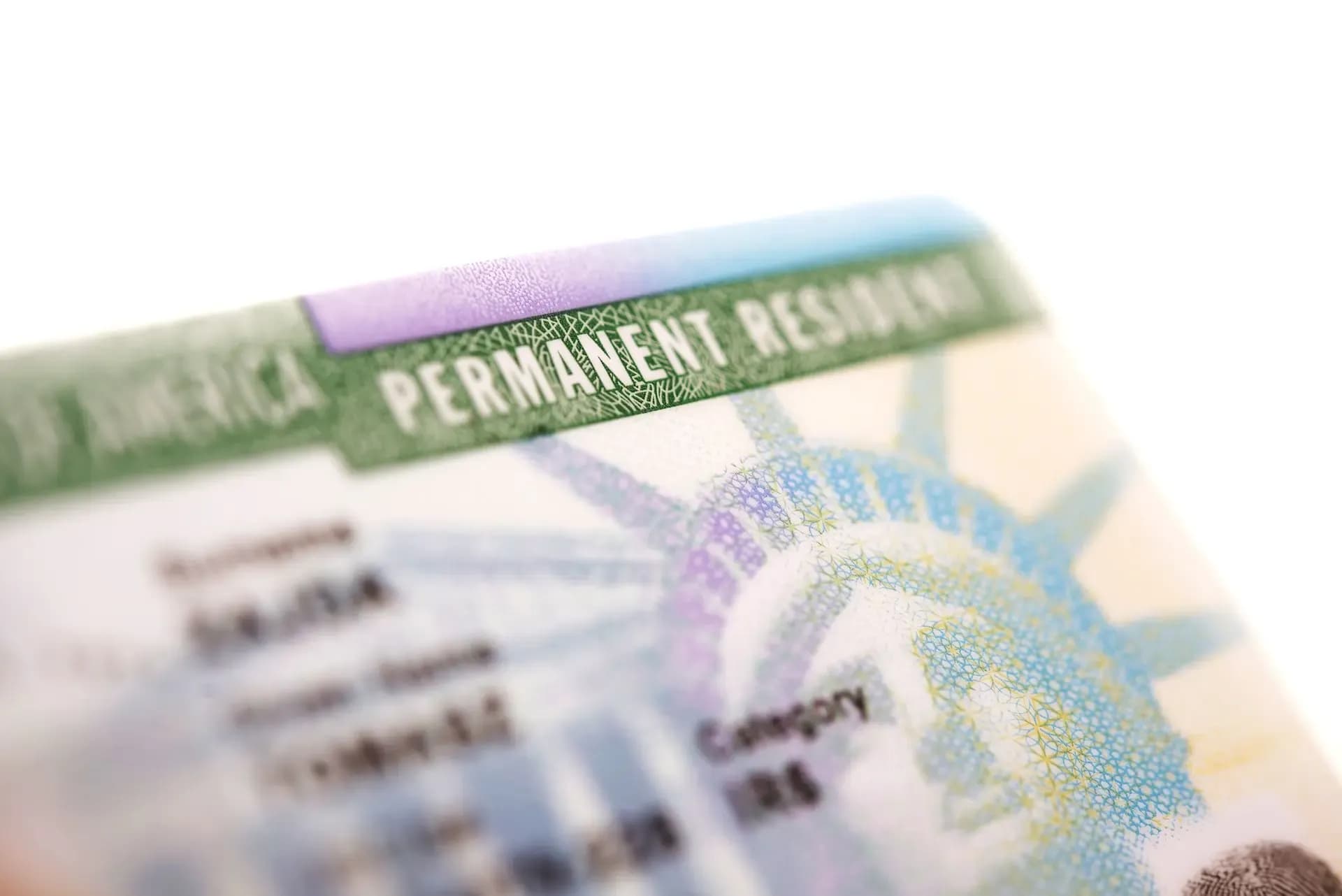 Close-up of a permanent resident permit card showing green security features and text